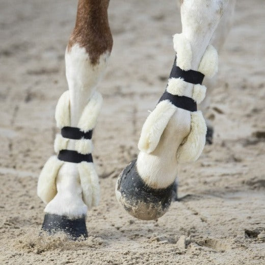 Protège-tendons doublés mouton synthétique pour poneys et chevaux Norton XTR noir
