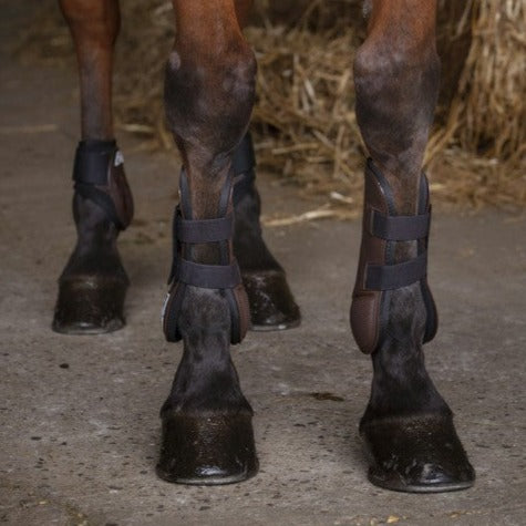 Protège-tendons pour poneys et chevaux Norton XTR velcro marron