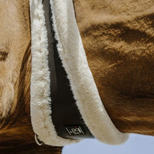 Charger l&#39;image dans la galerie, Sangle anatomique doublée mouton synthétique pour poneys et chevaux Norton XTR noir et beige
