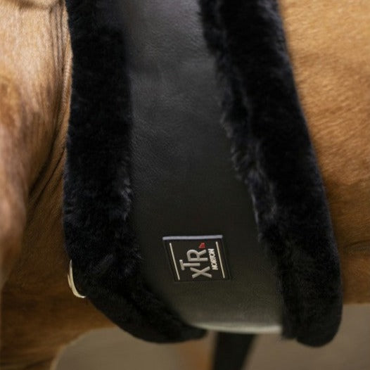 Sangle courte anatomique doublée de mouton synthétique Norton XTR adaptée aux shetlands, poneys et chevaux noir et noir