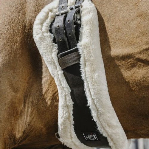 Sangle courte anatomique doublée de mouton synthétique Norton XTR adaptée aux shetlands, poneys et chevaux noir et beige