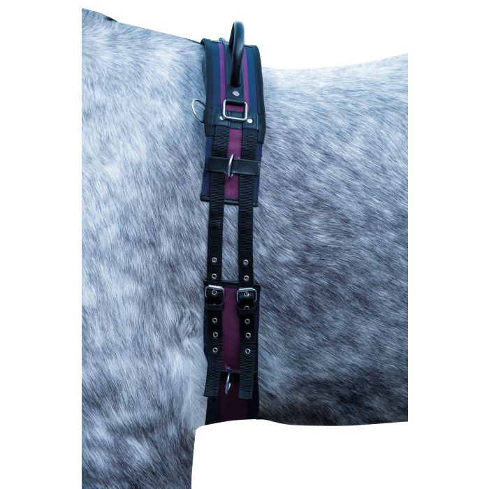 Surfais pour shetlands, poneys et chevaux HKM Exclusive marine et bordeaux